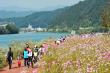 [산소길 걷기대회] 아름다운 화천 북한강 따라 걷기